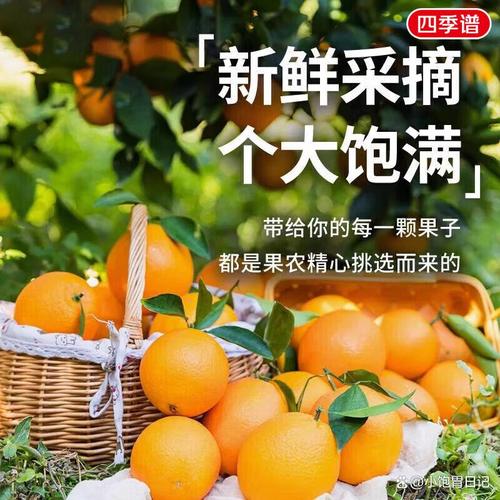 鲜果人生 献给热爱新鲜与健康的你