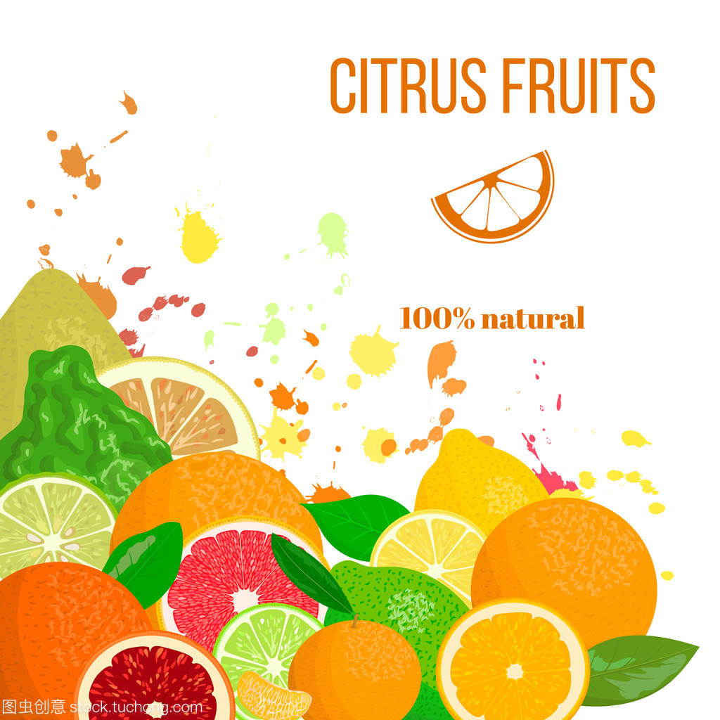Citrus Rush 柑橘家族的新鲜革命